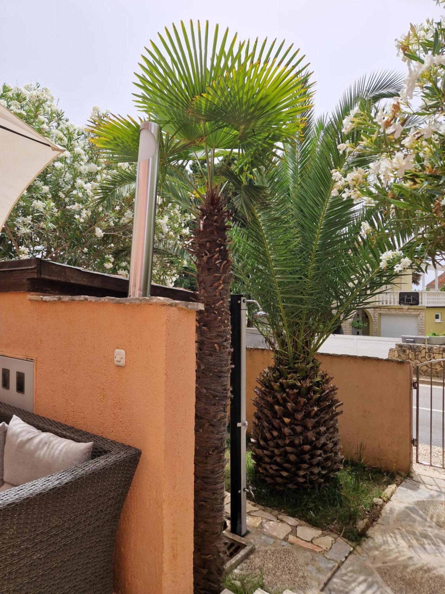 Aurelia Apartments, ויר חדר תמונה