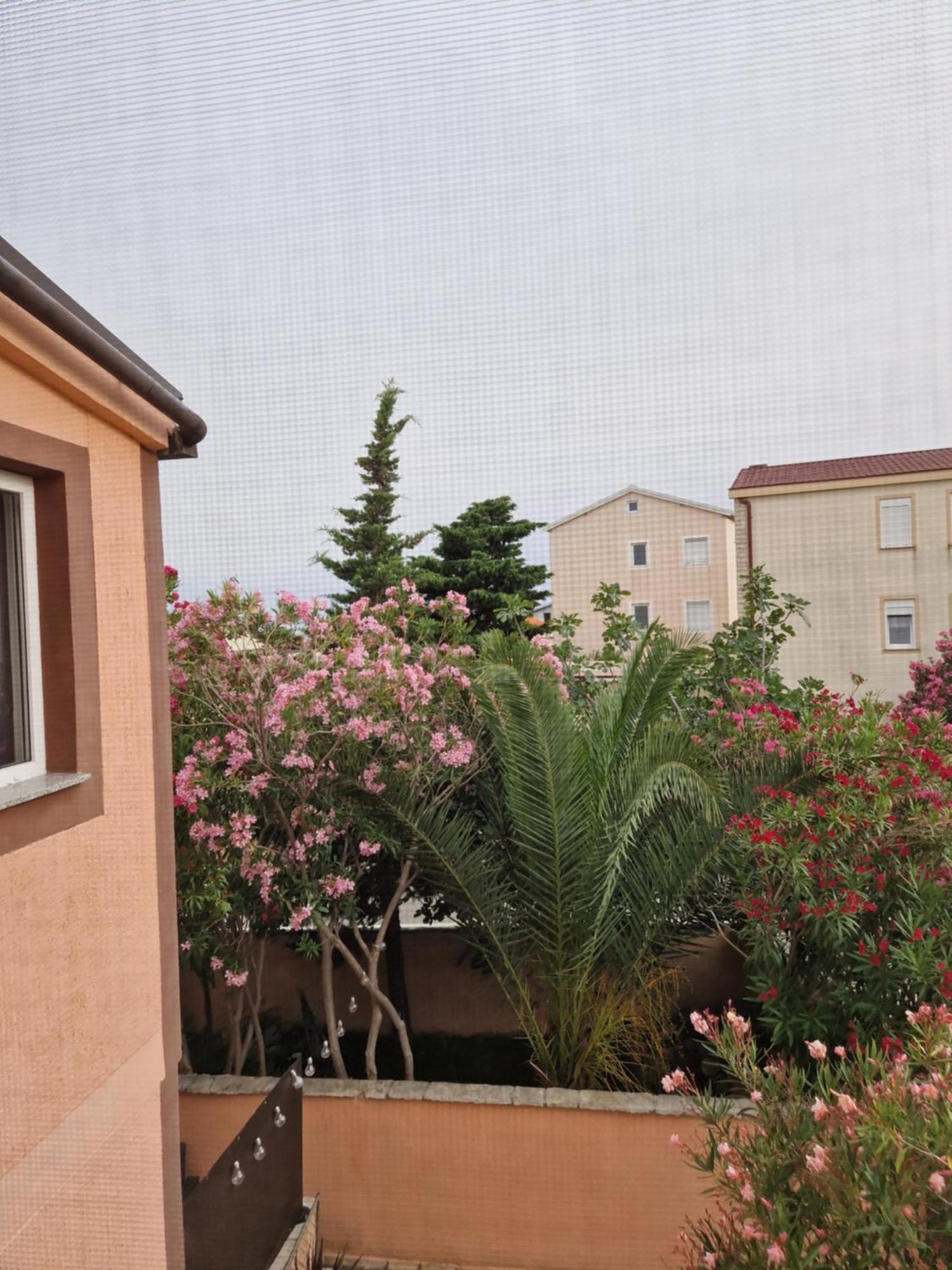 Aurelia Apartments, ויר מראה חיצוני תמונה